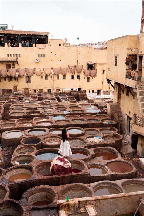 CRAZY FULL EXPERIENCE in Fes - Exploring Chouara Tannery and Trying Cows head Fish Pastilla etc